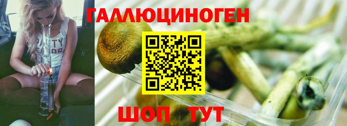 Бугуруслан  Псилоцибиновые грибы GOLDEN TEACHER  Вход с VPN 
